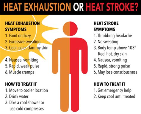 differentiate heat stroke and heat exhaustion